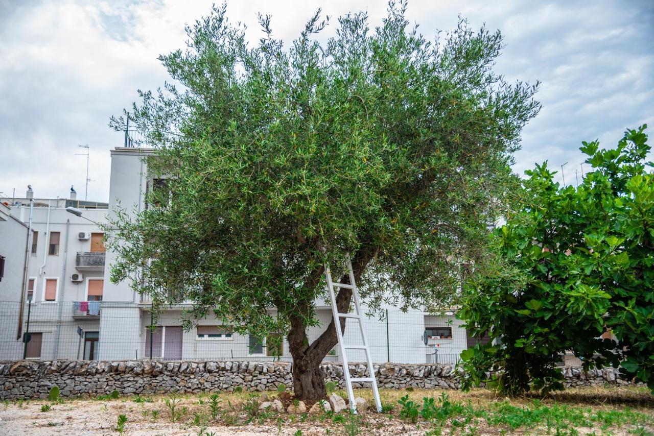 Apartament Trulli Dimora Palmisano Locorotondo Zewnętrze zdjęcie