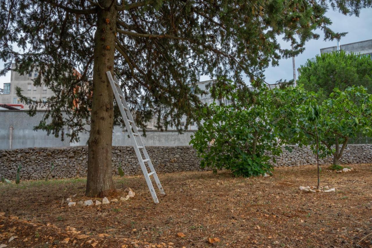 Apartament Trulli Dimora Palmisano Locorotondo Zewnętrze zdjęcie